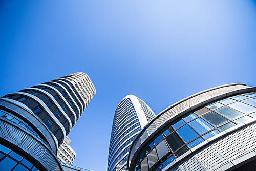 1599455690606575.jpg 1000.jpg