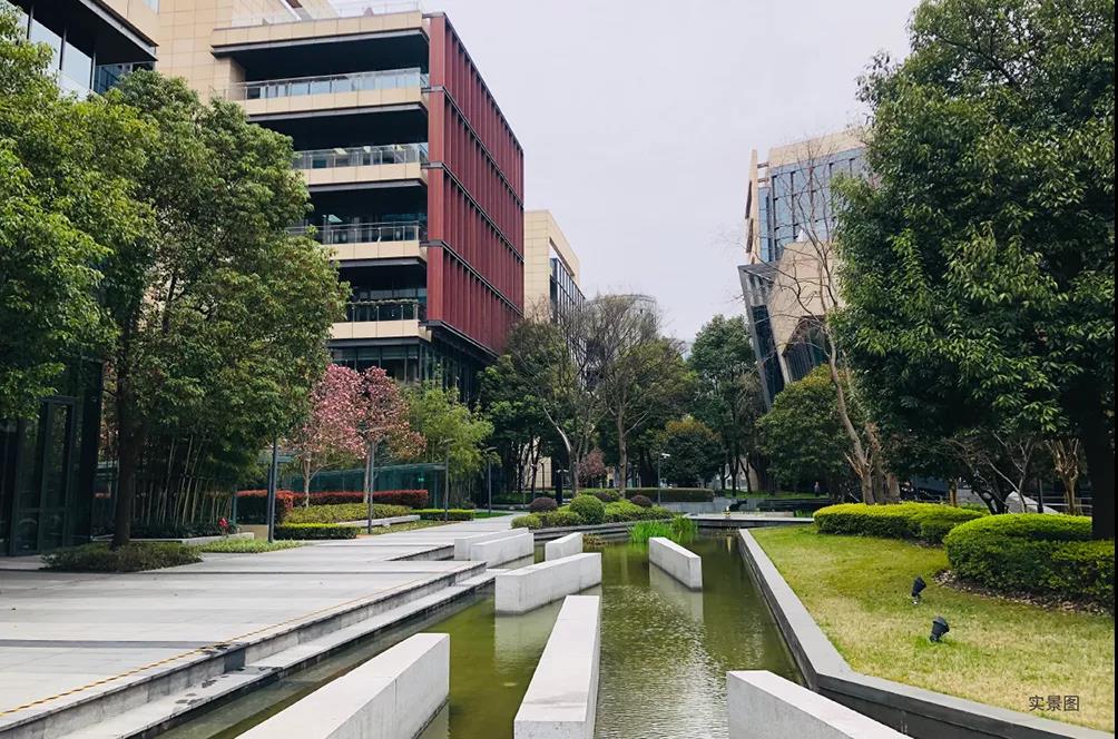 1640920875862782.jpg 1640920875862782.jpg